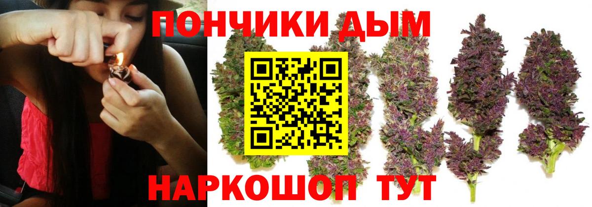 Бошки Шишки ГИДРОПОН Клинцы